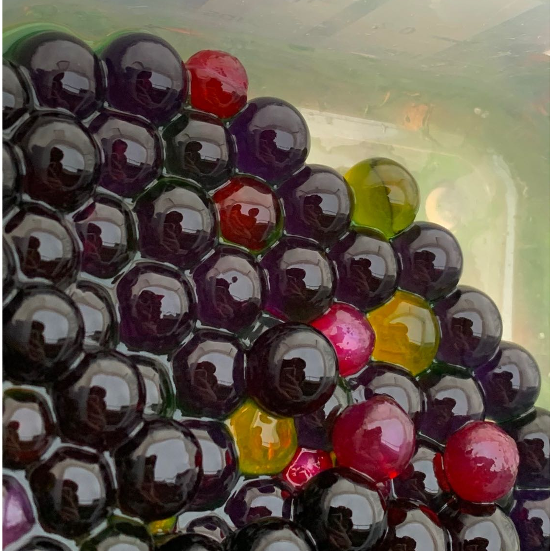 Bild aus dem Chemischen Fotokalender: Wasserperlen mit bunter Flüssigkeit