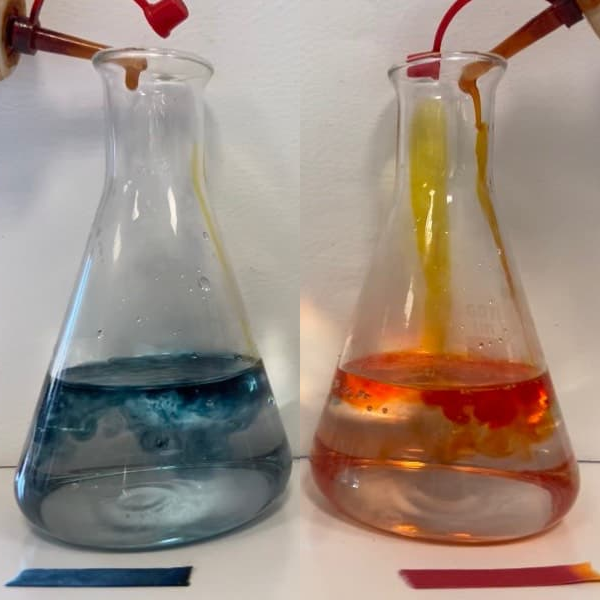 Bild aus dem Chemischen Fotokalender: Zwei Erlenmeyerkolben mit bläulicher und rötlicher Flüssigkeit