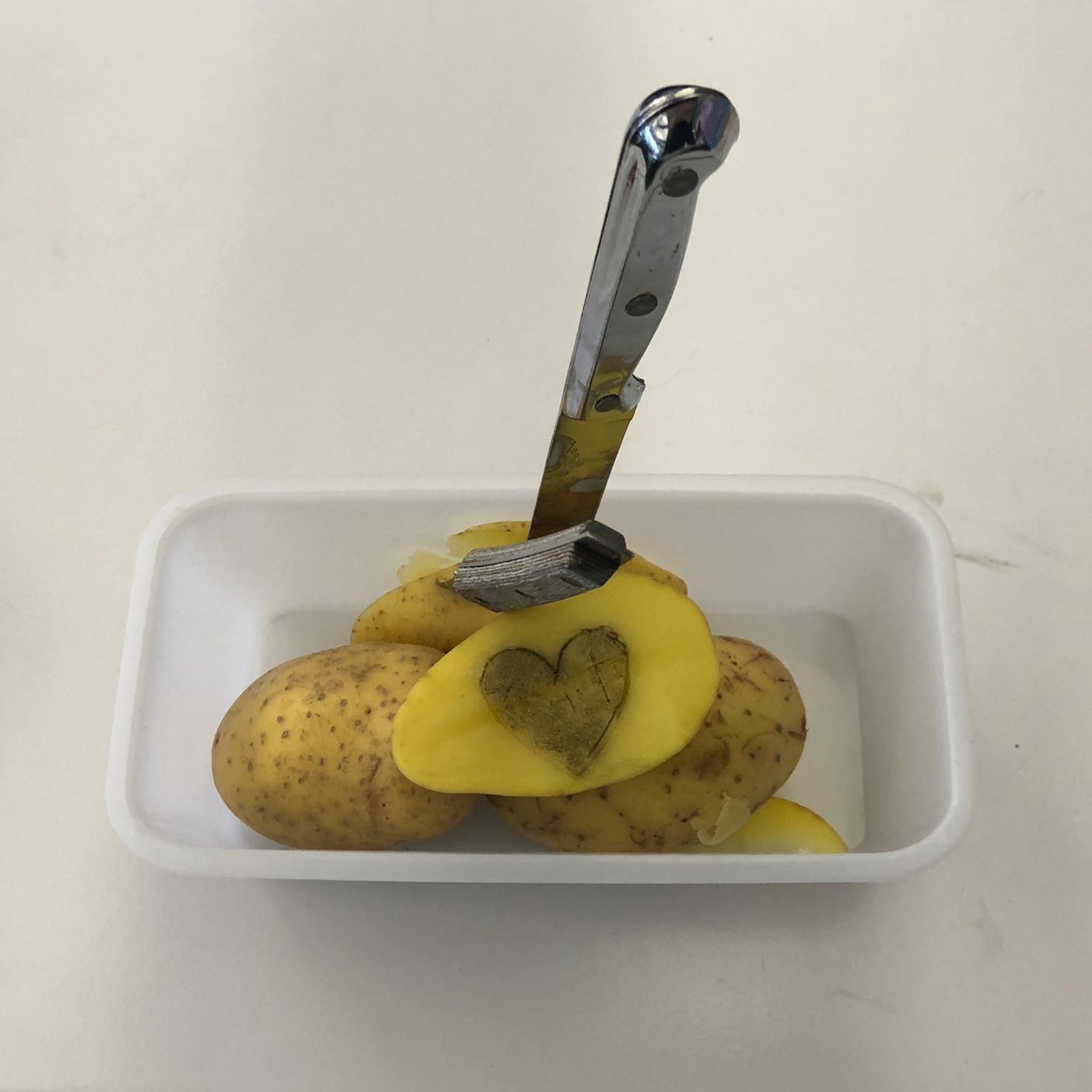 Bild aus dem Chemischen Fotokalender: aufgeschnittene Kartoffel