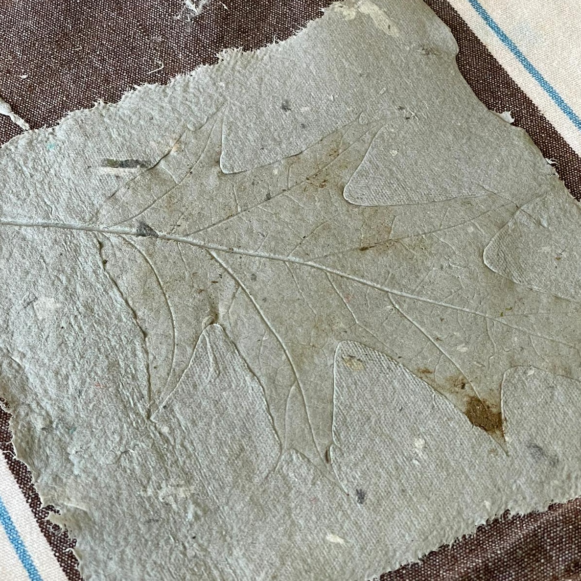 Bild aus dem Chemischen Fotokalender: handgeschöpftes Papier