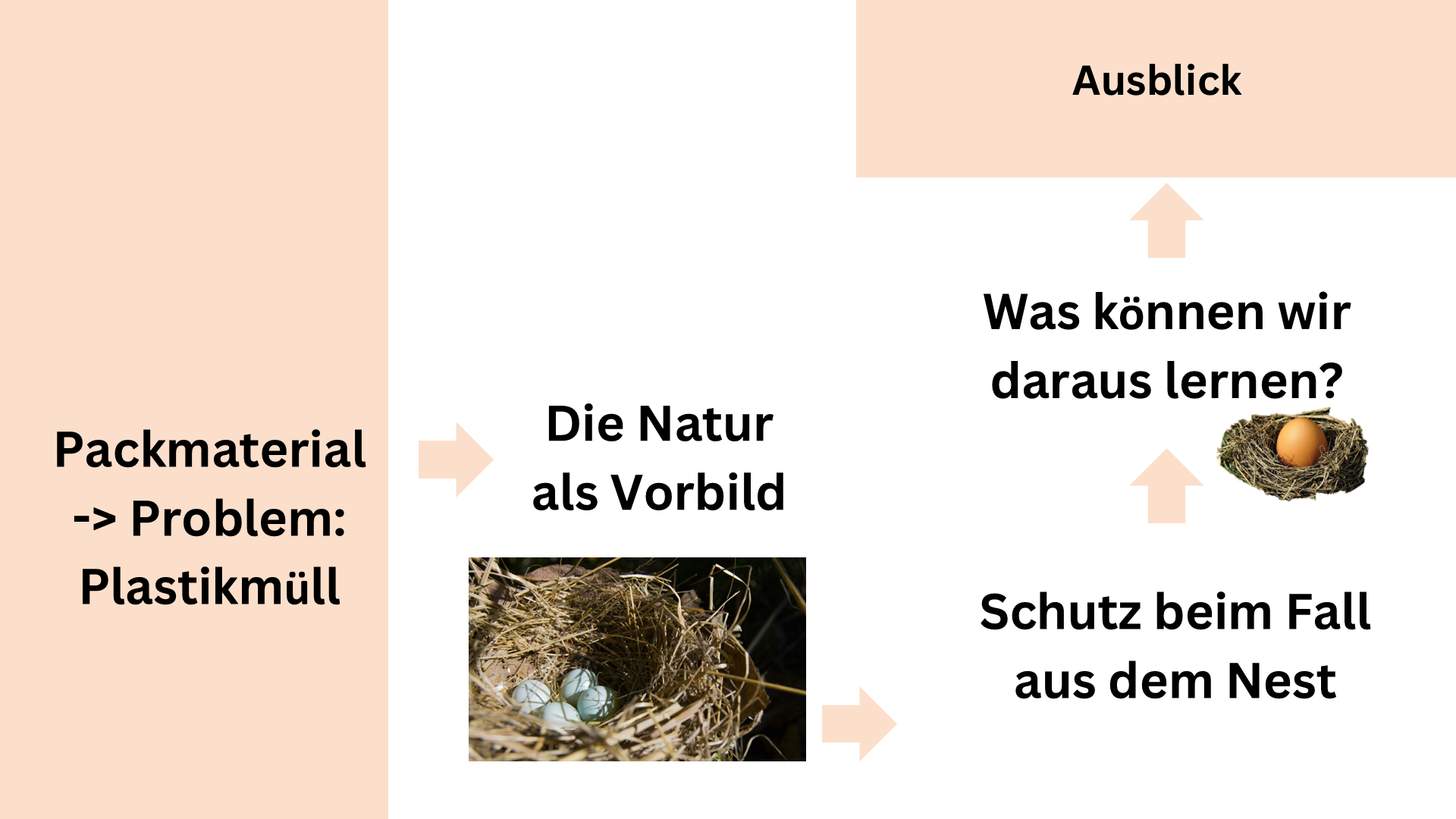 Schematische Darstellung der Struktur der Einheit