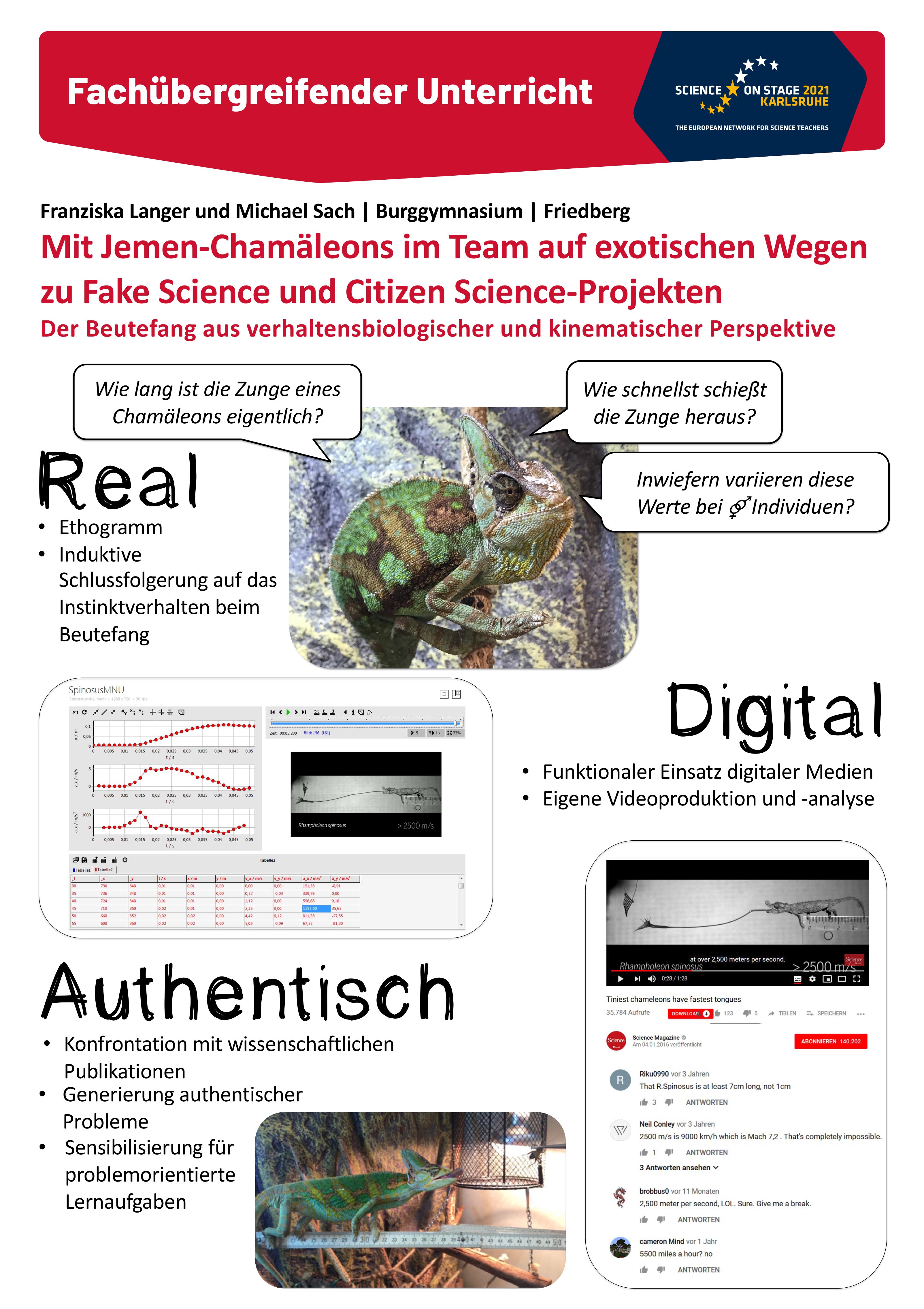 Poster vom Projekt Jemen Chamäleon