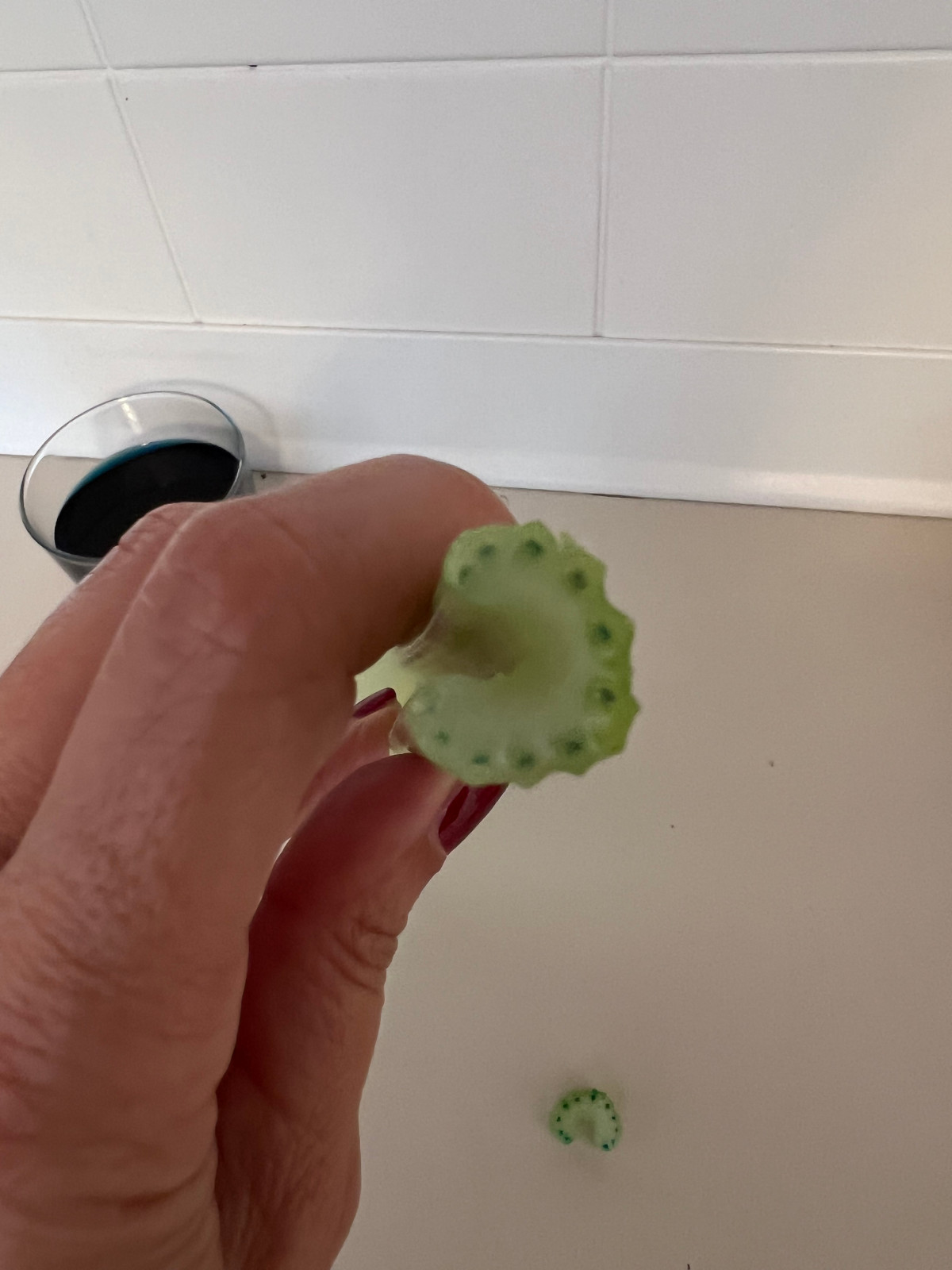 Nahaufnahme der dunkel eingefärbten Schnittfläche einer Selleriestange