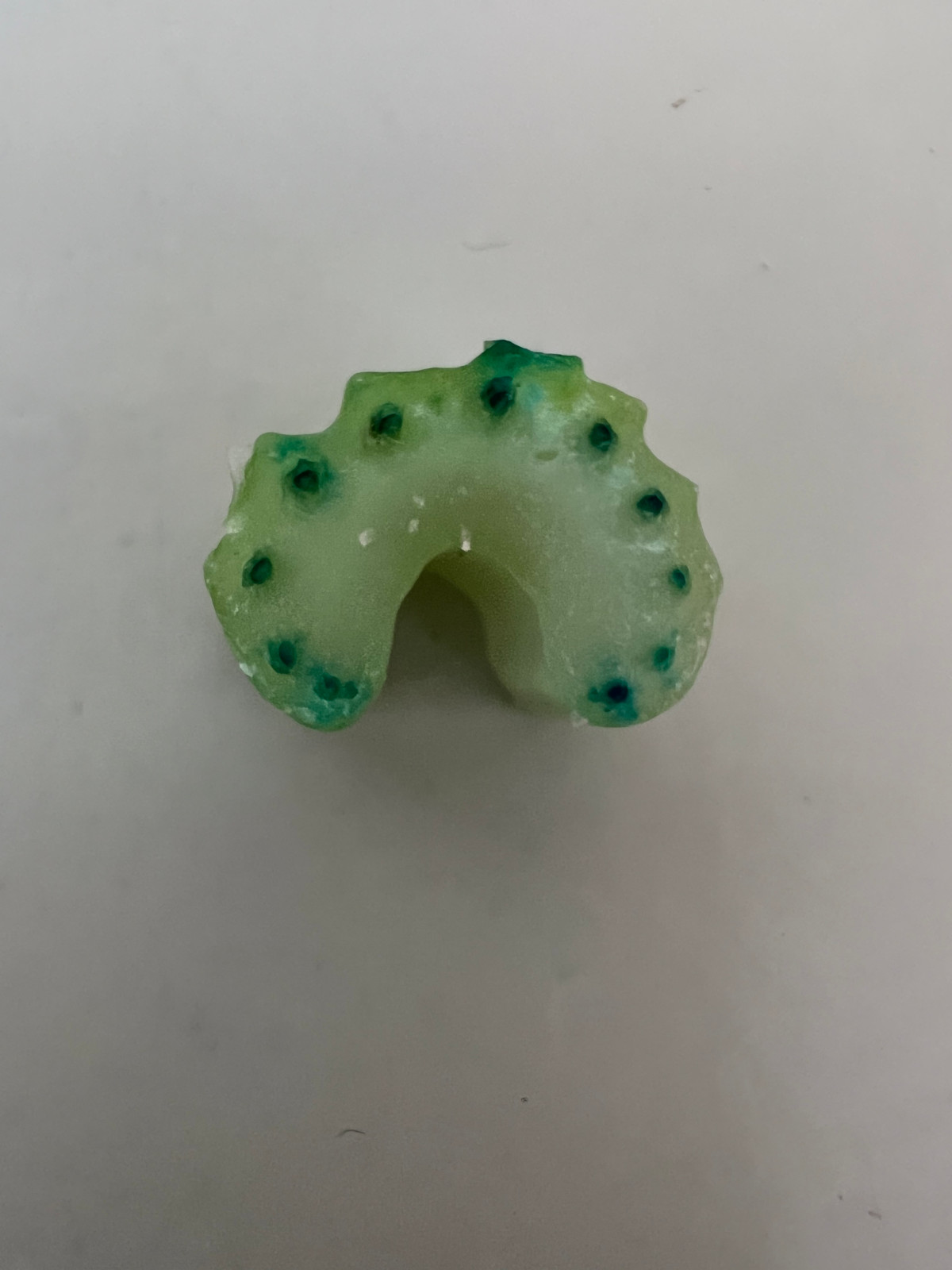 Nahaufnahme der dunkel eingefärbten Schnittfläche einer Selleriestange