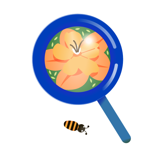 Eine Blüte unter der Lupe