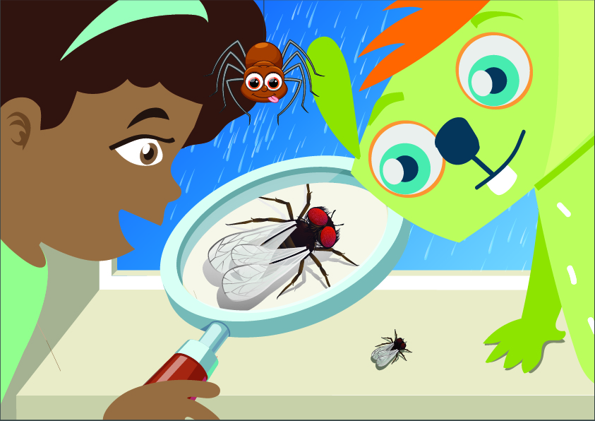 Alina Lilu und die Spinne