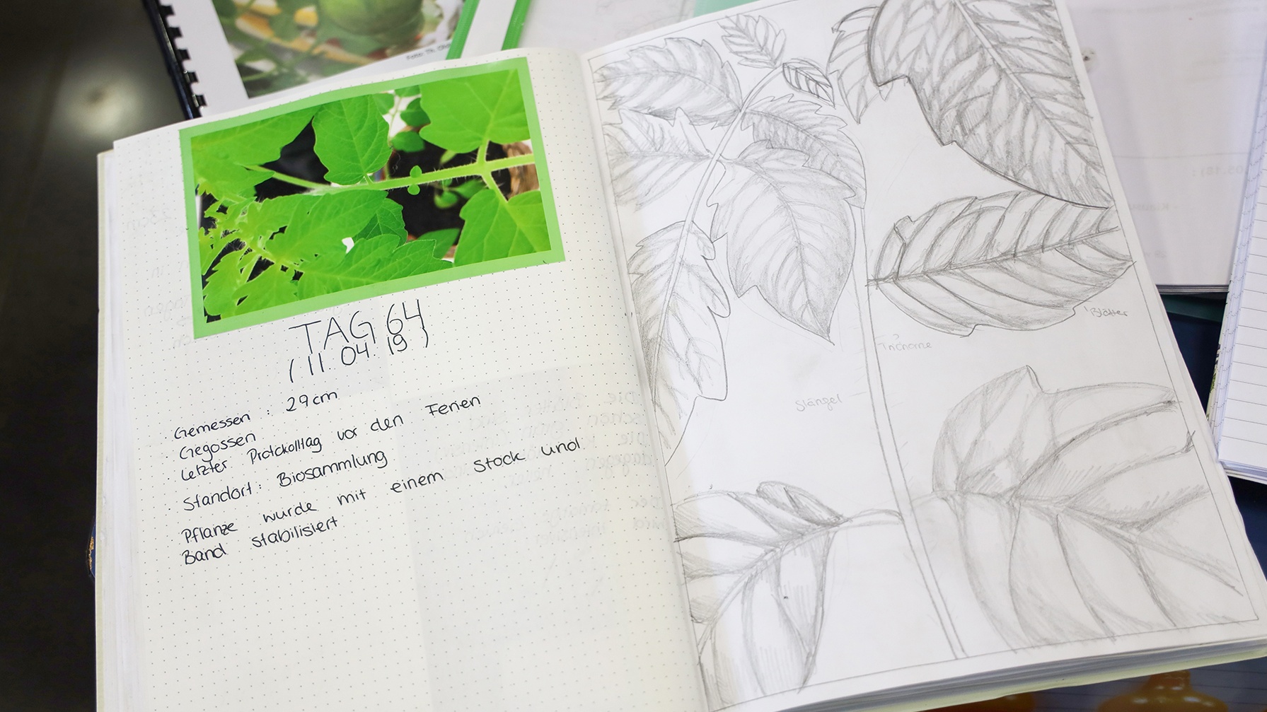 Bild eines Gewächstagebuches