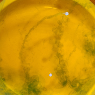 Bild aus dem Chemischen Fotokalender: Gelbe Flüssigkeit