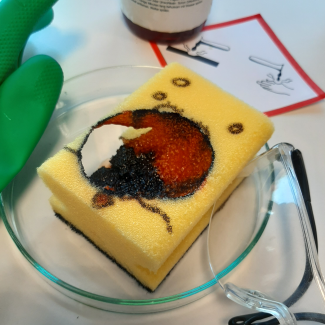 Bild aus dem Chemischen Fotokalender: Schwamm mit geätztem Loch