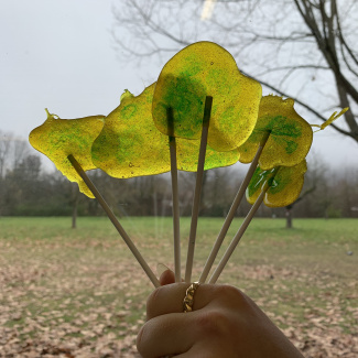 Bild aus dem Chemischen Fotokalender: Grun-gelbe Lollis