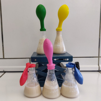 Bild aus dem Chemischen Fotokalender: Erlenmeyerkolben mit bunten Luftballons