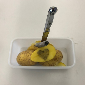 Bild aus dem Chemischen Fotokalender: aufgeschnittene Kartoffel