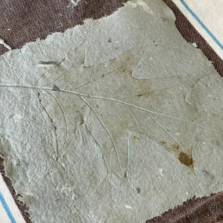 Bild aus dem Chemischen Fotokalender: handgeschöpftes Papier