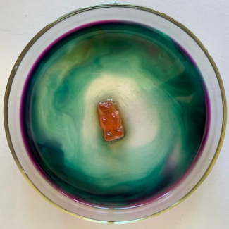 Bild aus dem Chemischen Fotokalender: Gummibärchen in bunter Flüssigkeit