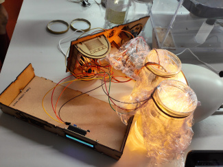 Bild des Experiments