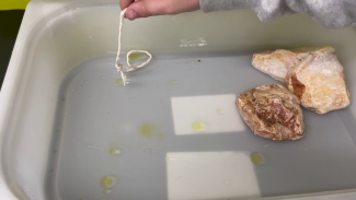 eine Schnurschlaufe auf einem Behälter mit Wasser