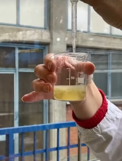 Zugabe von Essigsäure zum Extrakt, bis dieser ausflockt