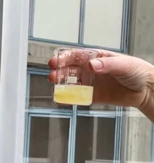 Zugabe von Essigsäure zum Extrakt, bis dieser ausflockt