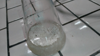 Zugabe von Essigsäure zum Extrakt, bis dieser ausflockt