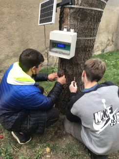 Der "Forest Reader" im Einsatz