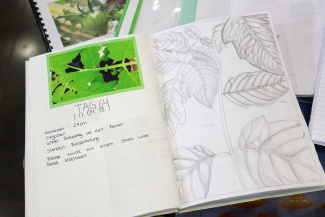 Tomatenprojekt: Protokoll einer Schülerin 