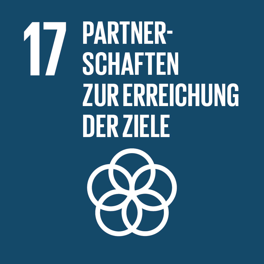 SDG goals 17 partnerships for the goals